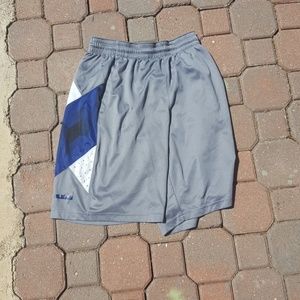 LeBron James Grey Shorts